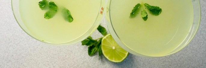 Hendrick's gin drink cocktail